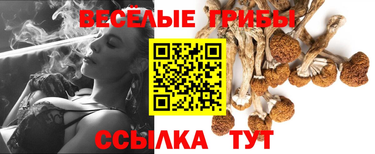 Псилоцибиновые грибы Cubensis Ишим