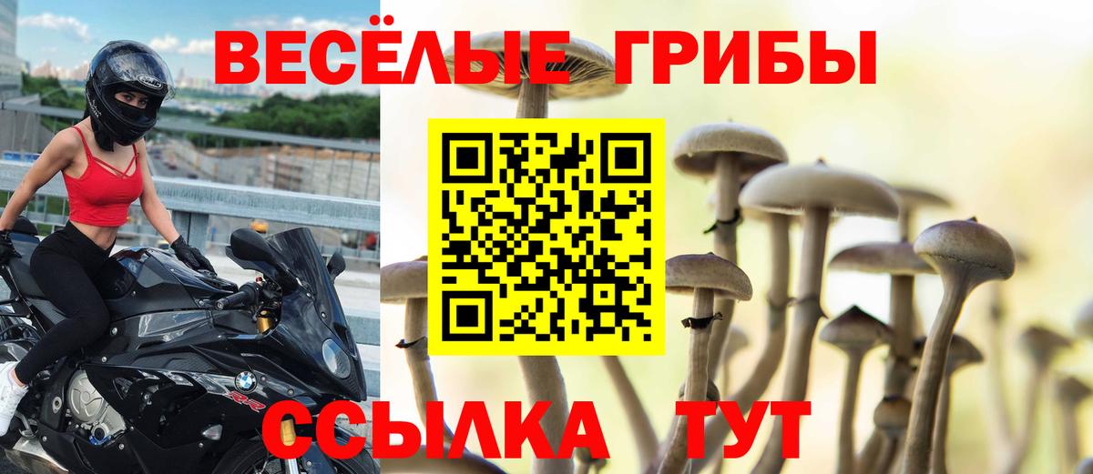 Ишим  Псилоцибиновые грибы прущие грибы  Вход с VPN  Галлюциногенные грибы прущие грибы 